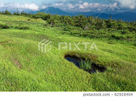 Hiuchigatake seen from Hiragatake summit bog 62928404