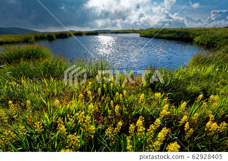 Himenoike and Kinkouka on the Hiragatake ridge line 62928405