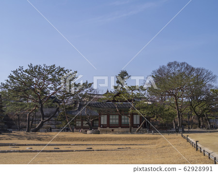 Changgyeonggung Changgyeonggung 62928991