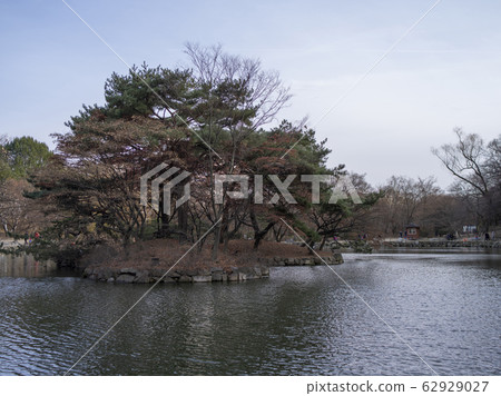 Changgyeonggung Changgyeonggung 62929027