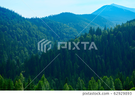 wild nature, summer landscape in carpathian wild nature, summer landscape in carpathian 62929893