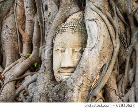 Thailand Ayutthaya Ruins Wat Mahathat 62930627
