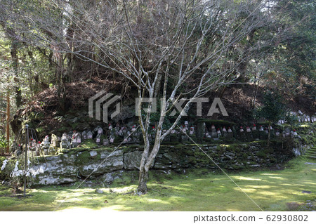 Kochi ken Otofoncho, national treasure Toyoshonji Stone Buddha group on the left side of Yakushido Kochi ken Otofoncho, national treasure Toyoshonji Stone Buddha group on the left side of Yakushido 62930802