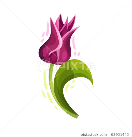 Purple Tulip Flower on Bended Stem with Green... - Stock Illustration ...