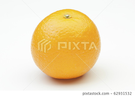 Kiyomi Orange 62931532