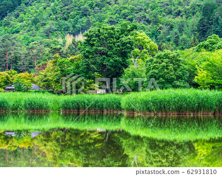 春季京都弘澤池塘早晨景觀 62931810