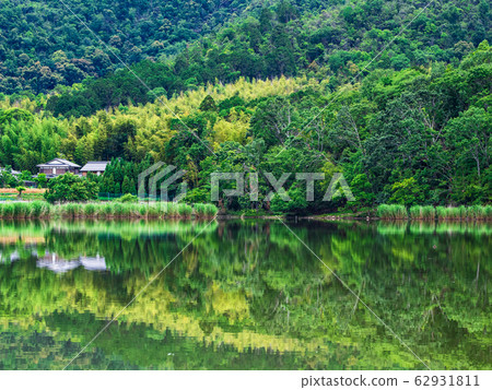 春季京都弘澤池塘早晨景觀 春季京都弘澤池塘早晨景觀 62931811