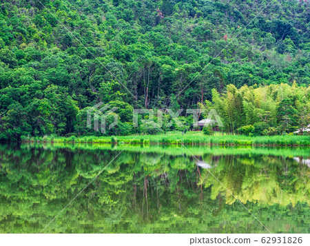 春季京都弘澤池塘早晨景觀 62931826