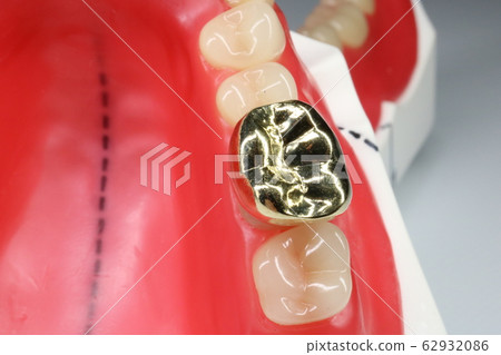 Tooth Tooth 62932086