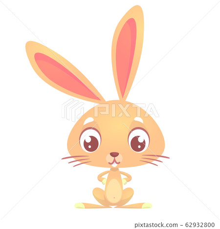 Cute cartoon rabbit 62932800