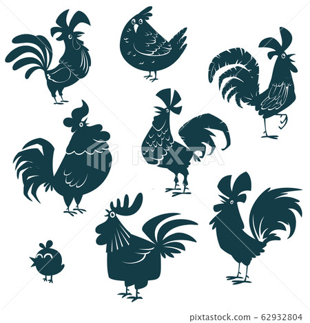 Chicken, hen, roosters set. Poultry vector Chicken, hen, roosters set. Poultry vector 62932804