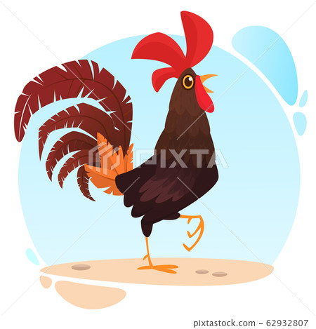Fat cartoon rooster. Colorful vector illustration Fat cartoon rooster. Colorful vector illustration 62932807