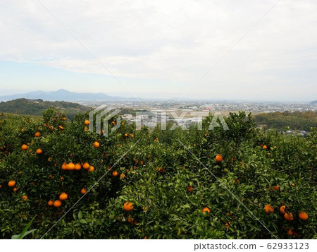 View from Hakusan, Uto City (Kumamoto Prefecture) 62933123