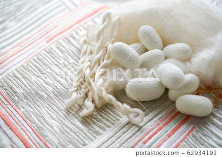 Mayu raw silk silk cotton silkworm Mayu raw silk silk cotton silkworm 62934191