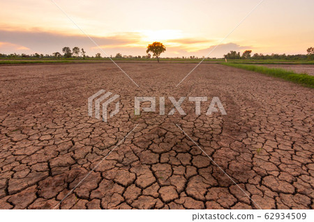The fields are arid and cracked because of lack of water. Drought crisis in Isan, Thailand, Southeast Asia 62934509