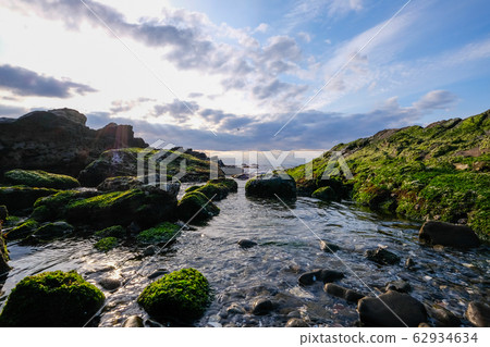 Rocky field of Jogashima 62934634