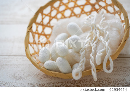 Kinu silkworm Mayu raw silk cotton 62934654