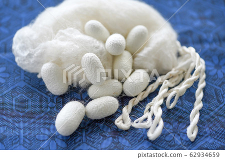 Kinu silkworm Mayu raw silk cotton Kinu silkworm Mayu raw silk cotton 62934659