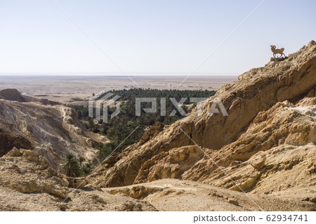 Tunisia, Chebika - view on Oasis and green palm inside rocks 62934741