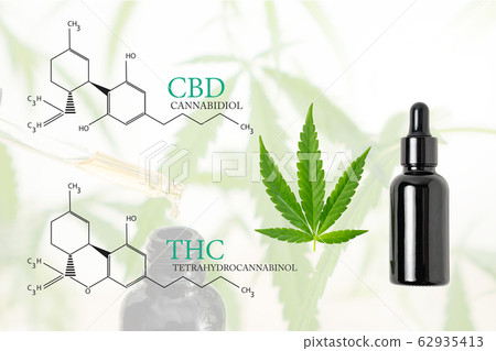 Cannabis, cannabis oil extracts in jars 62935413