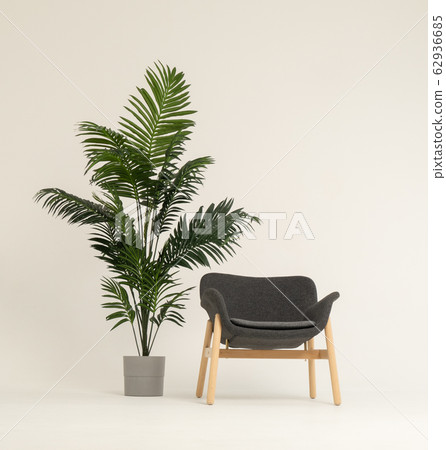 Armchair and big bush in studio 62936685