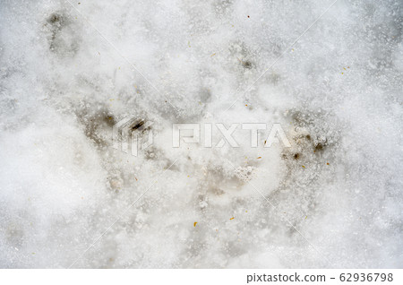 Thaw Thaw 62936798