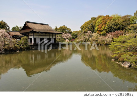 Cherry blossoms at Heian Shrine Cherry blossoms at Heian Shrine 62936982