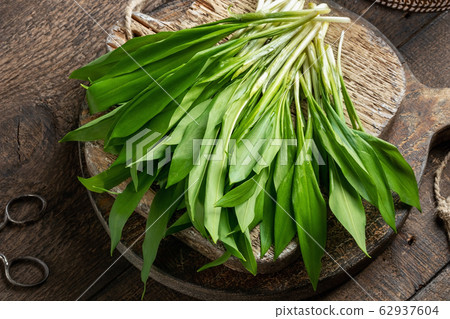 Fresh wild garlic leaves on a rustic background Fresh wild garlic leaves on a rustic background 62937604