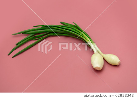 Young onions on pink background Young onions on pink background 62938348