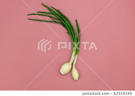Young onions on pink background Young onions on pink background 62938349