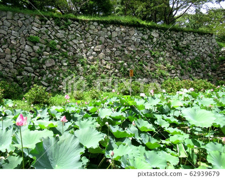 塔瑪魯城堡遺址 62939679