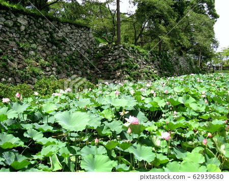塔瑪魯城堡遺址 塔瑪魯城堡遺址 62939680