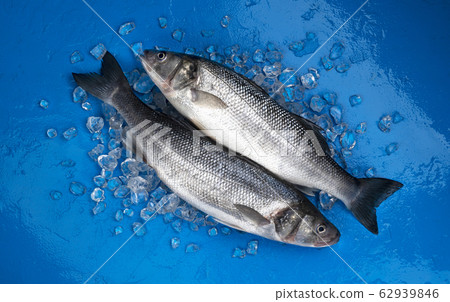 Seabass fish on ice on blue color background, top view 62939846