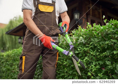 Incognito man cutting overgrown bushes. 62940269