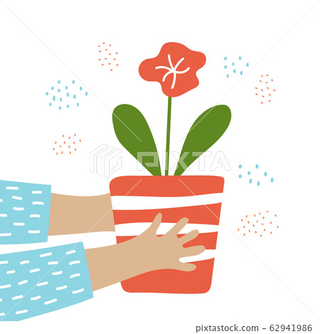 hands hold a pot with a flower vector illustration hands hold a pot with a flower vector illustration 62941986
