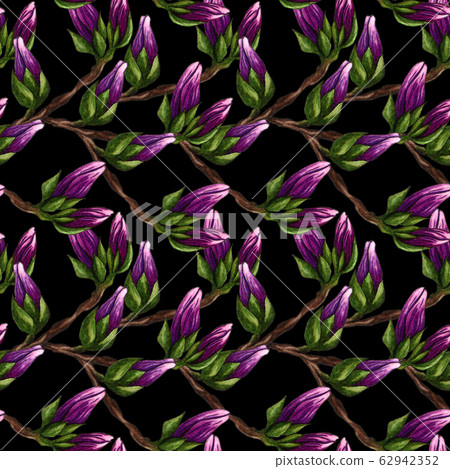 Watercolor seamless pattern of pink Magnolia 62942352