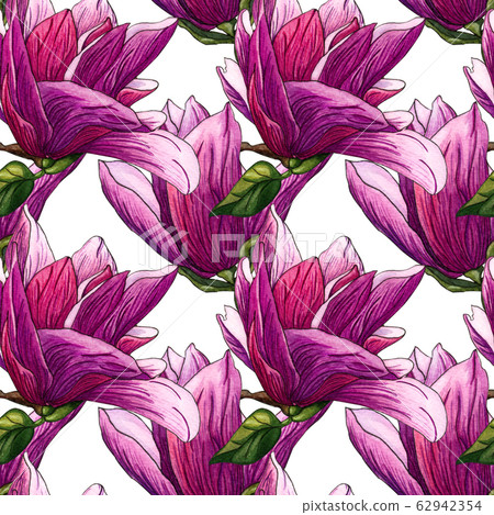 Watercolor seamless pattern of pink Magnolia 62942354