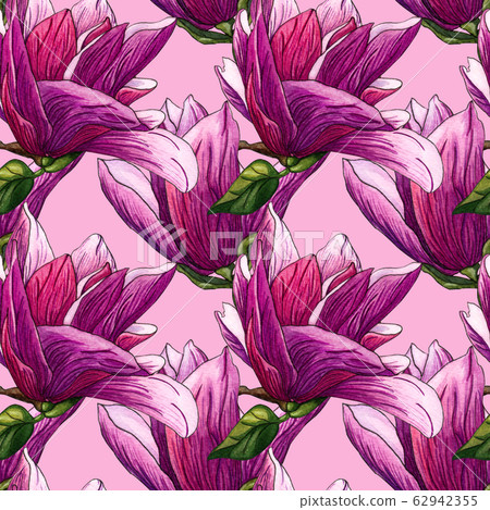 Watercolor seamless pattern of pink Magnolia Watercolor seamless pattern of pink Magnolia 62942355
