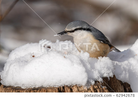 Goblin Goblin 62942678