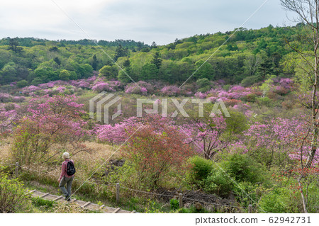 Kanuma City, Tochigi Pref. Kanuma City, Tochigi Pref. 62942731
