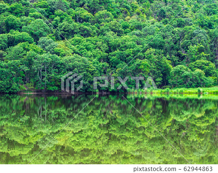 春季京都弘澤池塘早晨景觀 春季京都弘澤池塘早晨景觀 62944863
