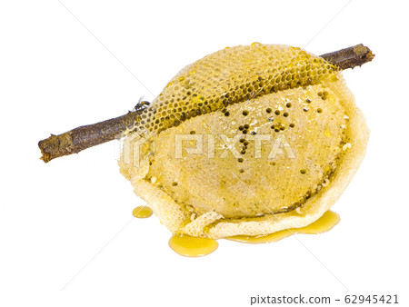 Honeycomb an isolated on white background Honeycomb an isolated on white background 62945421