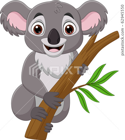 Cartoon koala on a tree branch 62945550