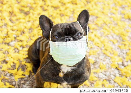 protect yourself from viruses please protect yourself from viruses please 62945766