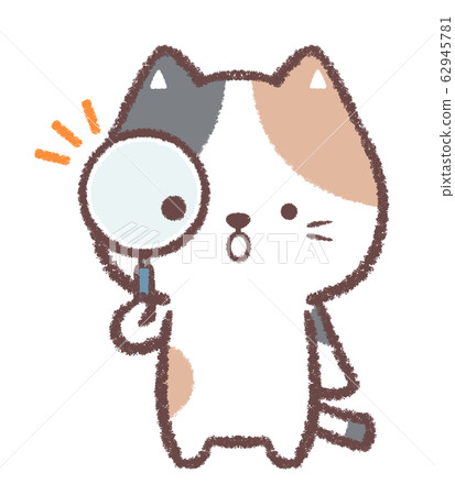 Magnifying glass calico cat 62945781