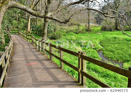 Scenery of Kakitagawa Park in Shimizu Town 62946573