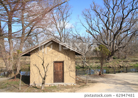 Azumino early spring grant 62947481