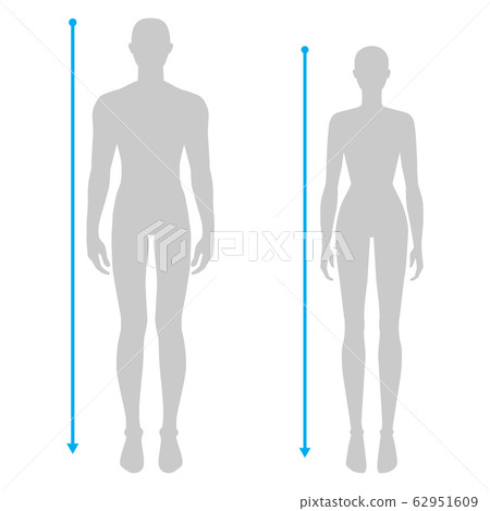 Women and men measurements fashion. Women and men measurements fashion. 62951609