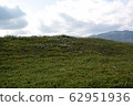Clover's hill 62951936