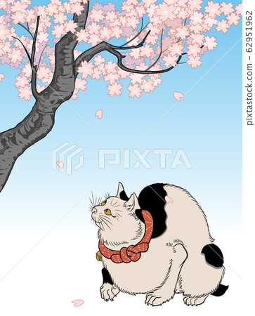 Cherry blossoms and cats 62951962